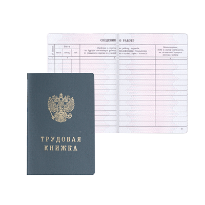 Бланк документа "Трудовая книжка" в твердой обложке 121229, 88*125 мм